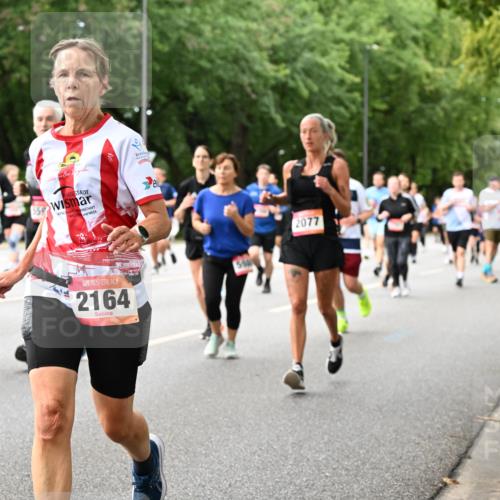 06.09.2026 - CURREX Alsterlauf Dr. Thomas Lammeyer http://msf.ph/oto/10117064 06.09.2026 09:14:22 Laufen 2164, 584, 2077 meine-sportfotos.de