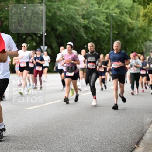 06.09.2026 - CURREX Alsterlauf Dr. Thomas Lammeyer http://msf.ph/oto/10117118 06.09.2026 09:14:29 Laufen 3, 5, 2013, 511 meine-sportfotos.de