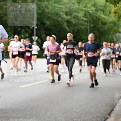 06.09.2026 - CURREX Alsterlauf Dr. Thomas Lammeyer http://msf.ph/oto/10117119 06.09.2026 09:14:30 Laufen 302, 224 meine-sportfotos.de