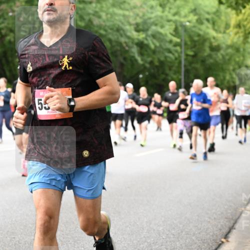 06.09.2026 - CURREX Alsterlauf Dr. Thomas Lammeyer http://msf.ph/oto/10117203 06.09.2026 09:14:41 Laufen 55 meine-sportfotos.de