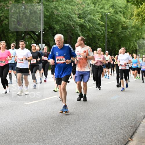 06.09.2026 - CURREX Alsterlauf Dr. Thomas Lammeyer http://msf.ph/oto/10117220 06.09.2026 09:14:43 Laufen 3867, 5769, 2113, 3889, 4565, 577, 5248, 3834, 2270, 431 meine-sportfotos.de