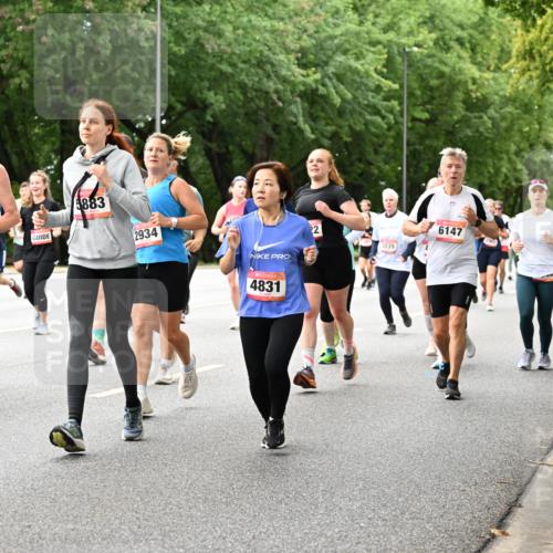 06.09.2026 - CURREX Alsterlauf Dr. Thomas Lammeyer http://msf.ph/oto/10117260 06.09.2026 09:14:50 Laufen 4892, 5883, 2934, 4831, 22, 3039, 6147, 5111 meine-sportfotos.de