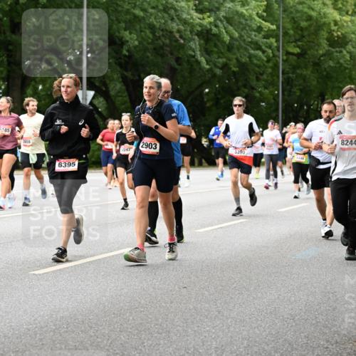 06.09.2026 - CURREX Alsterlauf Dr. Thomas Lammeyer http://msf.ph/oto/10117292 06.09.2026 09:14:54 Laufen 5285, 5185, 2658, 2903, 5390, 5597, 6446, 6395, 8244, 63, 3447 meine-sportfotos.de