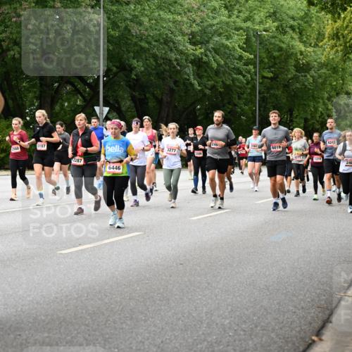 06.09.2026 - CURREX Alsterlauf Dr. Thomas Lammeyer http://msf.ph/oto/10117326 06.09.2026 09:15:00 Laufen 5798, 0, 2560, 6242, 1246, 3163, 6019, 5197, 3277, 4634, 8271, 1316, 2467, 2287, 6446 meine-sportfotos.de