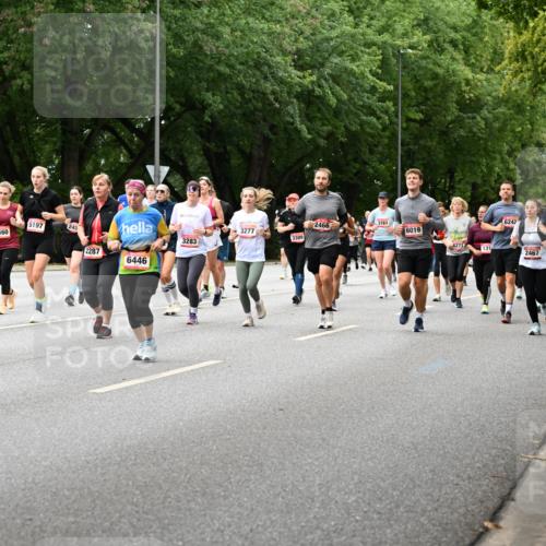 06.09.2026 - CURREX Alsterlauf Dr. Thomas Lammeyer http://msf.ph/oto/10117329 06.09.2026 09:15:00 Laufen 4170, 2560, 5197, 245, 2287, 6446, 3283, 6242, 2466, 3163, 3277, 6019, 3309, 4634, 8271, 131, 2467, 8056 meine-sportfotos.de