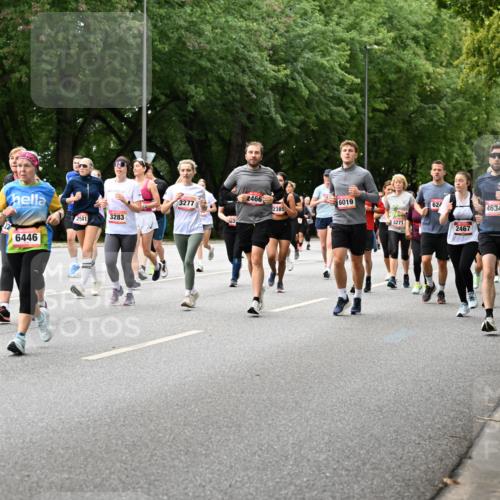 06.09.2026 - CURREX Alsterlauf Dr. Thomas Lammeyer http://msf.ph/oto/10117335 06.09.2026 09:15:01 Laufen 2560, 5197, 2466, 6019, 3277, 2385, 3283, 2541, 6446, 8271, 624, 2467, 4634 meine-sportfotos.de