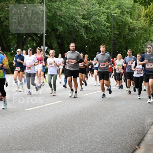 06.09.2026 - CURREX Alsterlauf Dr. Thomas Lammeyer http://msf.ph/oto/10117337 06.09.2026 09:15:01 Laufen 256, 5197, 3277, 98, 3283, 2541, 6446, 33, 2460, 2385, 6019, 6242, 2467, 4634 meine-sportfotos.de
