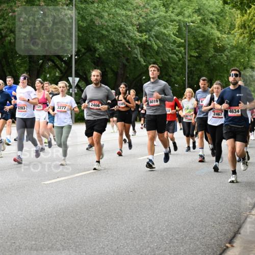 06.09.2026 - CURREX Alsterlauf Dr. Thomas Lammeyer http://msf.ph/oto/10117343 06.09.2026 09:15:02 Laufen 6019, 2466, 2385, 3283, 121, 3277, 2541, 446, 32, 8271, 6, 2467, 4634, 8056 meine-sportfotos.de