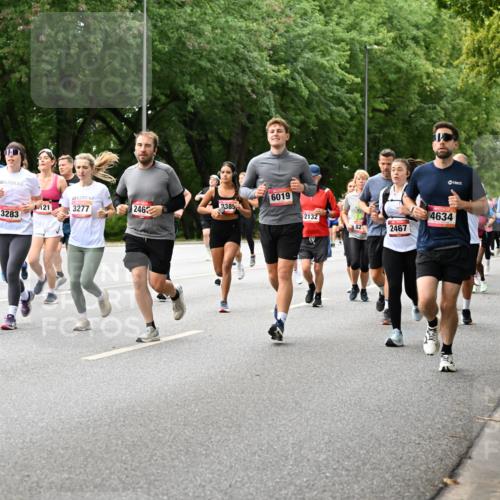 06.09.2026 - CURREX Alsterlauf Dr. Thomas Lammeyer http://msf.ph/oto/10117346 06.09.2026 09:15:02 Laufen 2511, 3283, 6019, 21, 3277, 2462, 2385, 2132, 4634, 2467, 8056 meine-sportfotos.de