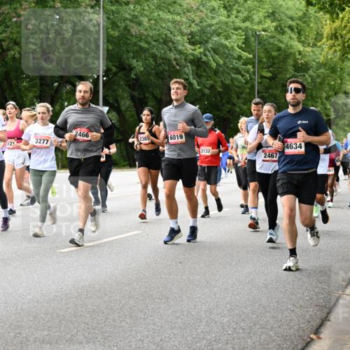 06.09.2026 - CURREX Alsterlauf Dr. Thomas Lammeyer http://msf.ph/oto/10117348 06.09.2026 09:15:02 Laufen 2466, 121, 3277, 2385, 6019, 245, 3283, 2132, 2541, 2467, 4634, 8056, 894 meine-sportfotos.de