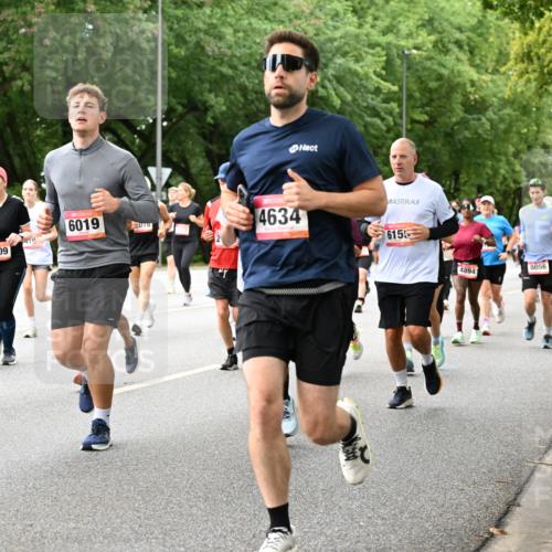 06.09.2026 - CURREX Alsterlauf Dr. Thomas Lammeyer http://msf.ph/oto/10117358 06.09.2026 09:15:04 Laufen 5303, 3309, 6019, 078, 4634, 6155, 8056, 4894 meine-sportfotos.de