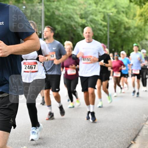 06.09.2026 - CURREX Alsterlauf Dr. Thomas Lammeyer http://msf.ph/oto/10117364 06.09.2026 09:15:05 Laufen 4634, 15, 2467 meine-sportfotos.de