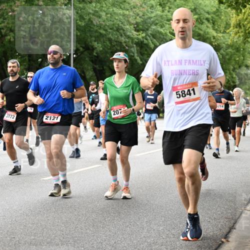 06.09.2026 - CURREX Alsterlauf Dr. Thomas Lammeyer http://msf.ph/oto/10117410 06.09.2026 09:15:11 Laufen 4436, 6429, 3772, 576, 2121, 207, 180, 5841, 6214, 3418 meine-sportfotos.de