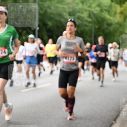 06.09.2026 - CURREX Alsterlauf Dr. Thomas Lammeyer http://msf.ph/oto/10117420 06.09.2026 09:15:13 Laufen 2074, 4175 meine-sportfotos.de