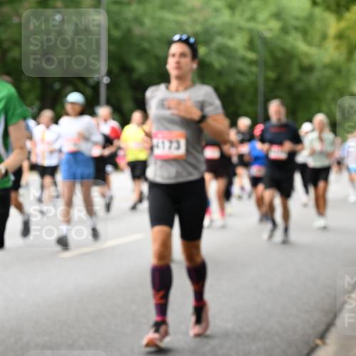 06.09.2026 - CURREX Alsterlauf Dr. Thomas Lammeyer http://msf.ph/oto/10117421 06.09.2026 09:15:13 Laufen 2074, 173 meine-sportfotos.de
