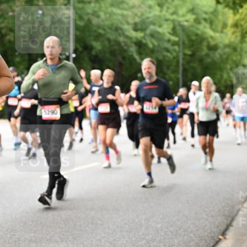 06.09.2026 - CURREX Alsterlauf Dr. Thomas Lammeyer http://msf.ph/oto/10117427 06.09.2026 09:15:14 Laufen 3, 5290 meine-sportfotos.de