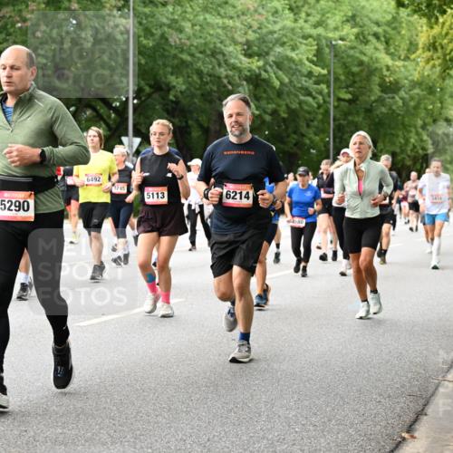 06.09.2026 - CURREX Alsterlauf Dr. Thomas Lammeyer http://msf.ph/oto/10117431 06.09.2026 09:15:14 Laufen 8146, 30, 5290, 6492, 3245, 5113, 6214, 2580, 3418 meine-sportfotos.de