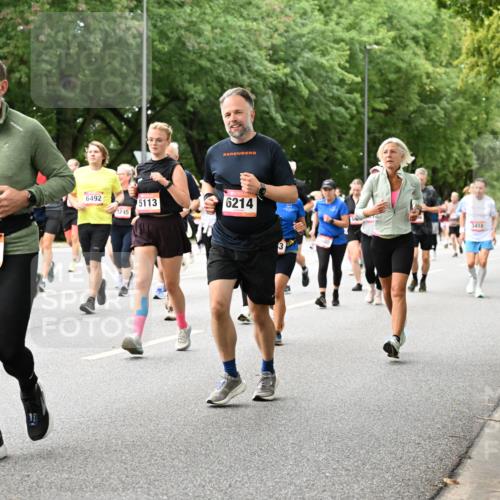 06.09.2026 - CURREX Alsterlauf Dr. Thomas Lammeyer http://msf.ph/oto/10117432 06.09.2026 09:15:14 Laufen 8146, 5290, 6492, 3245, 5113, 6214, 3418 meine-sportfotos.de
