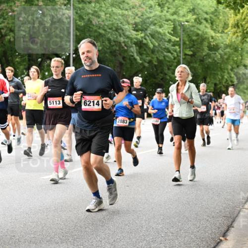 06.09.2026 - CURREX Alsterlauf Dr. Thomas Lammeyer http://msf.ph/oto/10117433 06.09.2026 09:15:15 Laufen 5290, 64, 5113, 6214, 2883, 2580, 3418 meine-sportfotos.de