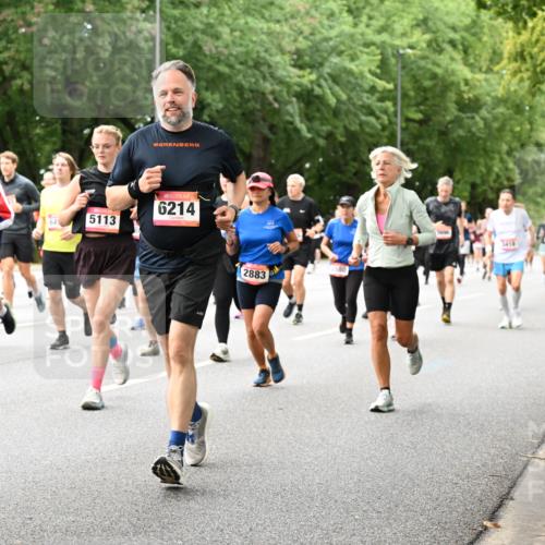 06.09.2026 - CURREX Alsterlauf Dr. Thomas Lammeyer http://msf.ph/oto/10117434 06.09.2026 09:15:15 Laufen 8145, 5113, 6214, 2883, 580 meine-sportfotos.de