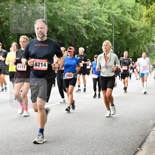 06.09.2026 - CURREX Alsterlauf Dr. Thomas Lammeyer http://msf.ph/oto/10117435 06.09.2026 09:15:15 Laufen 8145, 5113, 6214, 2883, 3418 meine-sportfotos.de