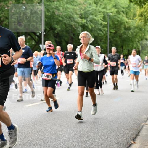 06.09.2026 - CURREX Alsterlauf Dr. Thomas Lammeyer http://msf.ph/oto/10117437 06.09.2026 09:15:15 Laufen 6214, 2883 meine-sportfotos.de