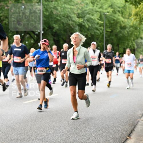 06.09.2026 - CURREX Alsterlauf Dr. Thomas Lammeyer http://msf.ph/oto/10117438 06.09.2026 09:15:16 Laufen 6214, 8074, 2883, 3160 meine-sportfotos.de