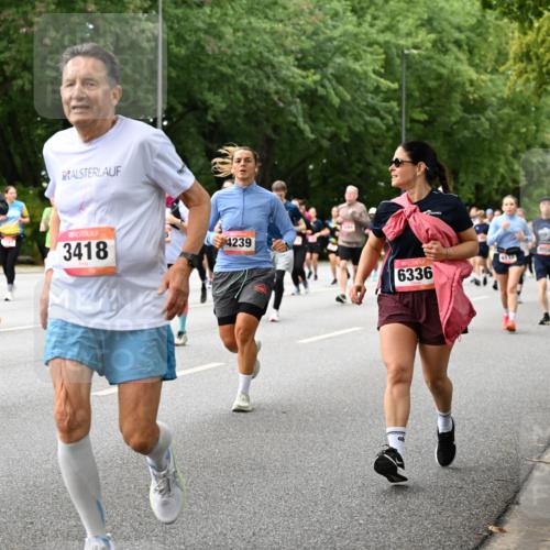 06.09.2026 - CURREX Alsterlauf Dr. Thomas Lammeyer http://msf.ph/oto/10117472 06.09.2026 09:15:20 Laufen 6278, 3418, 4239, 6336 meine-sportfotos.de