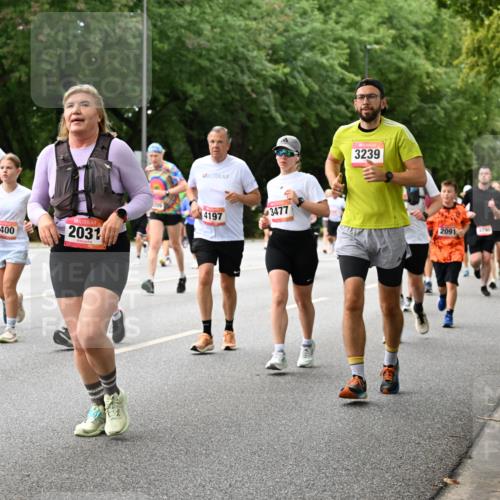 06.09.2026 - CURREX Alsterlauf Dr. Thomas Lammeyer http://msf.ph/oto/10117527 06.09.2026 09:15:30 Laufen 79, 5073, 2400, 2031, 4197, 3477, 3239, 2091 meine-sportfotos.de