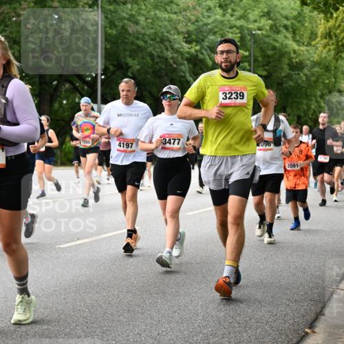06.09.2026 - CURREX Alsterlauf Dr. Thomas Lammeyer http://msf.ph/oto/10117528 06.09.2026 09:15:30 Laufen 340, 3239, 2031, 2205, 4197, 3477, 2096, 2091, 4790 meine-sportfotos.de