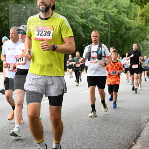 06.09.2026 - CURREX Alsterlauf Dr. Thomas Lammeyer http://msf.ph/oto/10117537 06.09.2026 09:15:31 Laufen 4344, 3477, 3239, 096, 2091 meine-sportfotos.de