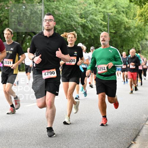 06.09.2026 - CURREX Alsterlauf Dr. Thomas Lammeyer http://msf.ph/oto/10117571 06.09.2026 09:15:36 Laufen 42, 195, 2018, 4787, 2531, 4790, 30, 5252, 3094 meine-sportfotos.de