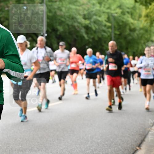 06.09.2026 - CURREX Alsterlauf Dr. Thomas Lammeyer http://msf.ph/oto/10117587 06.09.2026 09:15:37 Laufen 252 meine-sportfotos.de