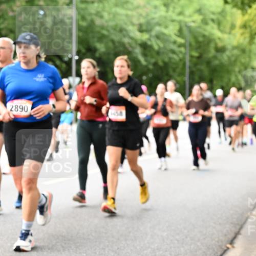 06.09.2026 - CURREX Alsterlauf Dr. Thomas Lammeyer http://msf.ph/oto/10117617 06.09.2026 09:15:42 Laufen 2890 meine-sportfotos.de