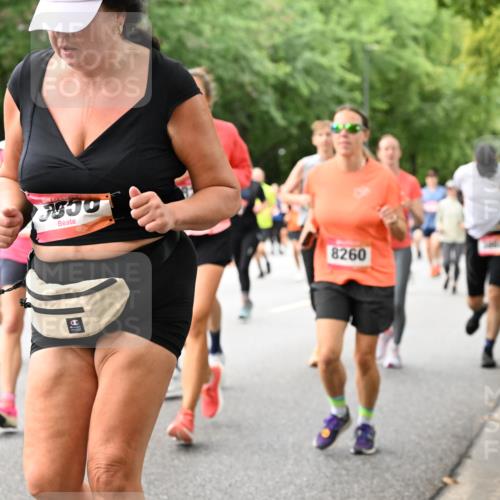 06.09.2026 - CURREX Alsterlauf Dr. Thomas Lammeyer http://msf.ph/oto/10117793 06.09.2026 09:16:05 Laufen 3530, 8260 meine-sportfotos.de