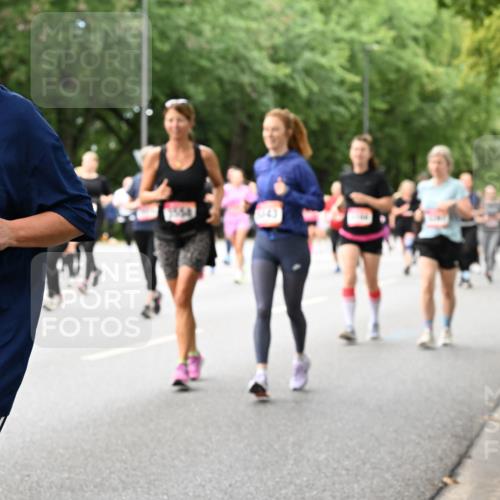 06.09.2026 - CURREX Alsterlauf Dr. Thomas Lammeyer http://msf.ph/oto/10117954 06.09.2026 09:16:25 Laufen 4794, 143 meine-sportfotos.de