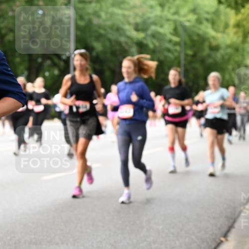 06.09.2026 - CURREX Alsterlauf Dr. Thomas Lammeyer http://msf.ph/oto/10117955 06.09.2026 09:16:25 Laufen  meine-sportfotos.de