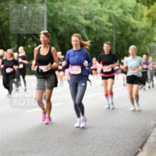 06.09.2026 - CURREX Alsterlauf Dr. Thomas Lammeyer http://msf.ph/oto/10117956 06.09.2026 09:16:25 Laufen 14, 43 meine-sportfotos.de