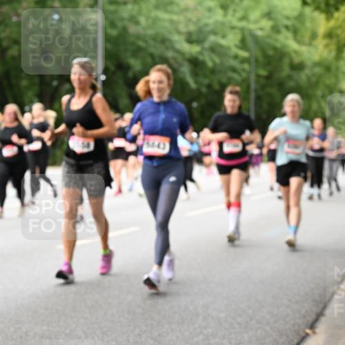06.09.2026 - CURREX Alsterlauf Dr. Thomas Lammeyer http://msf.ph/oto/10117957 06.09.2026 09:16:26 Laufen 5443 meine-sportfotos.de
