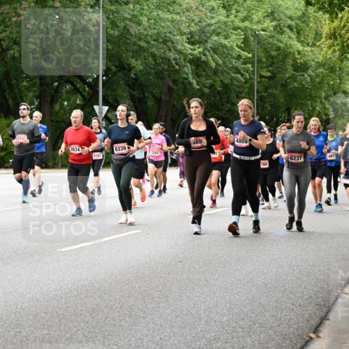 06.09.2026 - CURREX Alsterlauf Dr. Thomas Lammeyer http://msf.ph/oto/10117993 06.09.2026 09:16:30 Laufen 212, 465351, 2634, 6339, 6165, 2352, 488, 4869, 6237, 2881, 768 meine-sportfotos.de