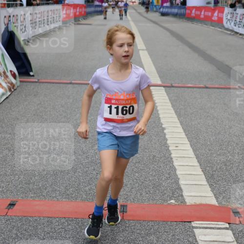 06.09.2026 - CURREX Alsterlauf Strokosch-Dieckow http://msf.ph/oto/10121556 06.09.2026 12:05:10 Ziel 1159, 1160, 1330, 2484 meine-sportfotos.de