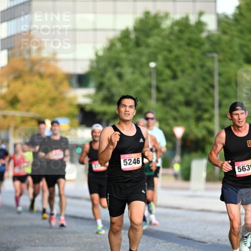 06.09.2026 - CURREX Alsterlauf Dr. Thomas Lammeyer http://msf.ph/oto/10122056 06.09.2026 09:36:51 Laufen 5246, 5639 meine-sportfotos.de
