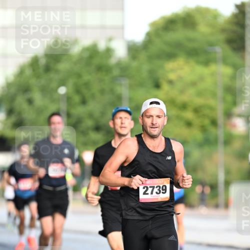 06.09.2026 - CURREX Alsterlauf Dr. Thomas Lammeyer http://msf.ph/oto/10122099 06.09.2026 09:36:55 Laufen 2739 meine-sportfotos.de