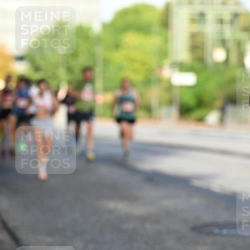 06.09.2026 - CURREX Alsterlauf Dr. Thomas Lammeyer http://msf.ph/oto/10123333 06.09.2026 09:39:25 Laufen  meine-sportfotos.de