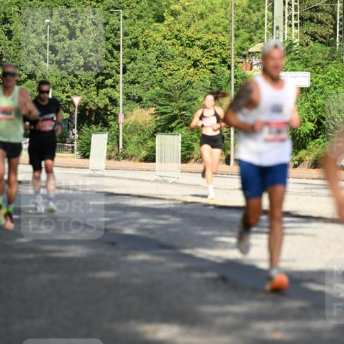 06.09.2026 - CURREX Alsterlauf Dr. Thomas Lammeyer http://msf.ph/oto/10123726 06.09.2026 09:40:12 Laufen 287, 6 meine-sportfotos.de
