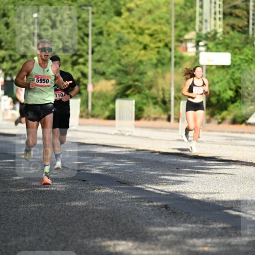 06.09.2026 - CURREX Alsterlauf Dr. Thomas Lammeyer http://msf.ph/oto/10123738 06.09.2026 09:40:13 Laufen 3753, 5950, 110 meine-sportfotos.de