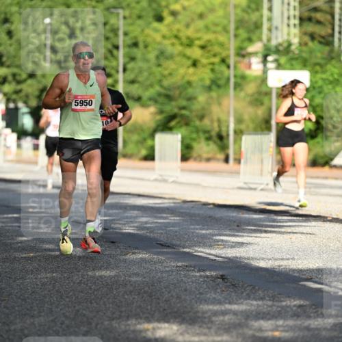 06.09.2026 - CURREX Alsterlauf Dr. Thomas Lammeyer http://msf.ph/oto/10123745 06.09.2026 09:40:14 Laufen 3753, 5950, 10 meine-sportfotos.de