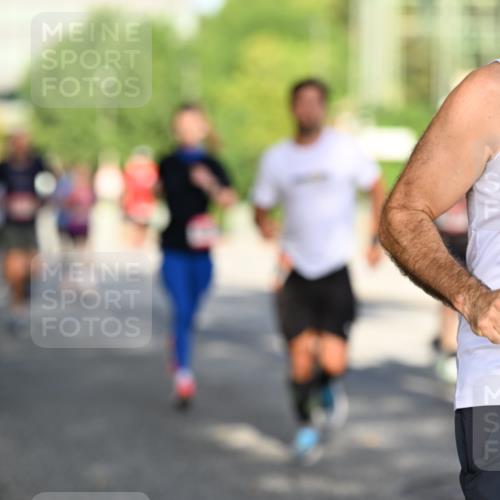 06.09.2026 - CURREX Alsterlauf Dr. Thomas Lammeyer http://msf.ph/oto/10123949 06.09.2026 09:40:35 Laufen 5952 meine-sportfotos.de