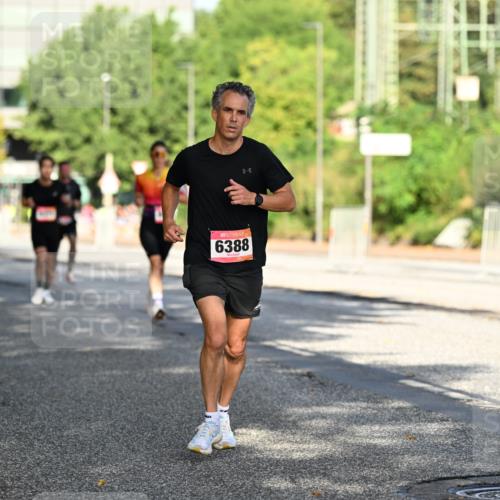 06.09.2026 - CURREX Alsterlauf Dr. Thomas Lammeyer http://msf.ph/oto/10124076 06.09.2026 09:40:49 Laufen 6388 meine-sportfotos.de