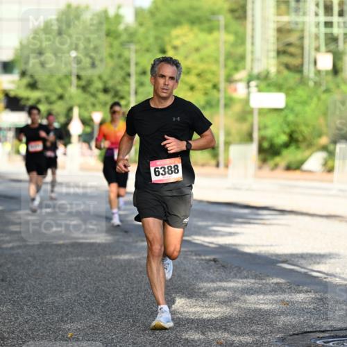 06.09.2026 - CURREX Alsterlauf Dr. Thomas Lammeyer http://msf.ph/oto/10124077 06.09.2026 09:40:49 Laufen 6388 meine-sportfotos.de
